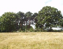Boudicca's Mound - Hampstead